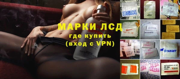 индика Алексин