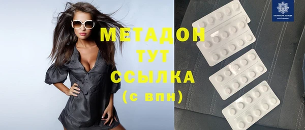 индика Алексин