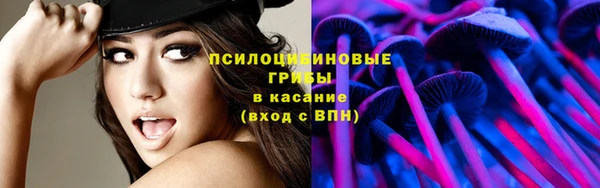 эйфоретик Саяногорск