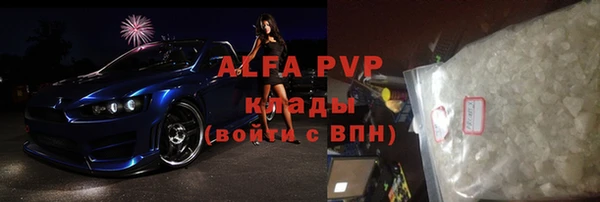 индика Алексин