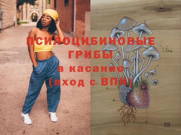 Альфа ПВП Алзамай