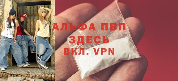 индика Алексин