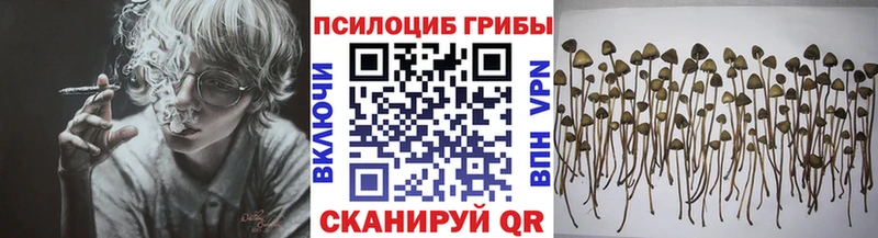 блэк спрут   Заозёрный  Галлюциногенные грибы ЛСД 